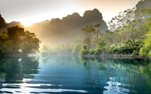 绿色高端高端